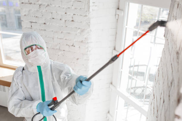 Best Mold Removal for HVAC Installations  in Sigourney, IA